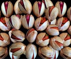 پسته کله قوچی اعلا + انتخابی متفاوت برای سفارش های عمده